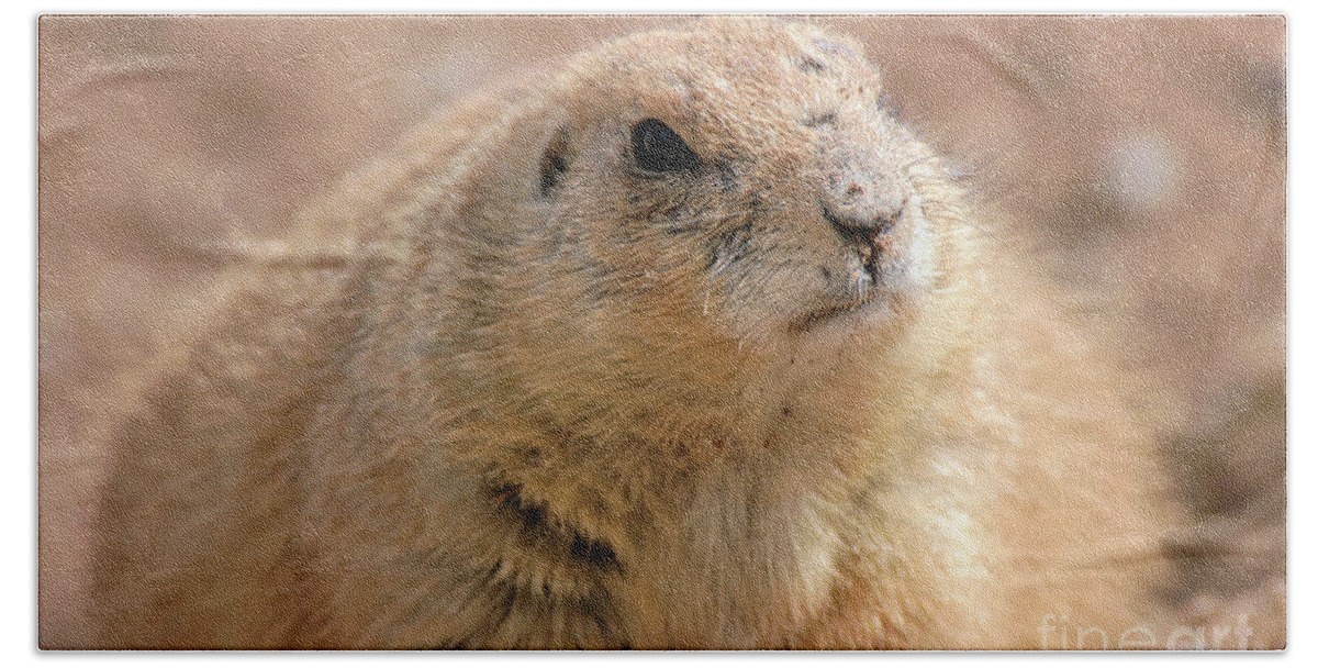 Black-tailed Beach Towel featuring the photograph Black-tailed Prairie Dog by Al Andersen