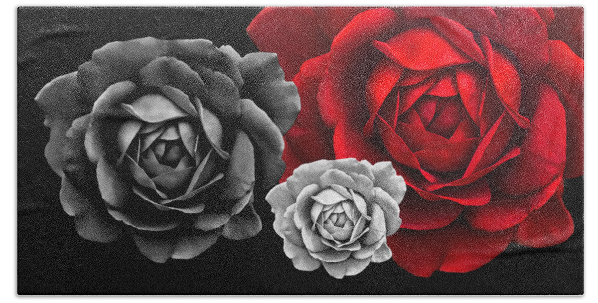 Rose Beach Towel featuring the photograph Black White Red Roses Abstract by Jennie Marie Schell
