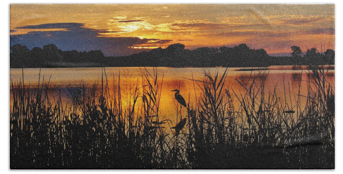Sun Beach Towel featuring the photograph Blackwater Morning by Bob Geary