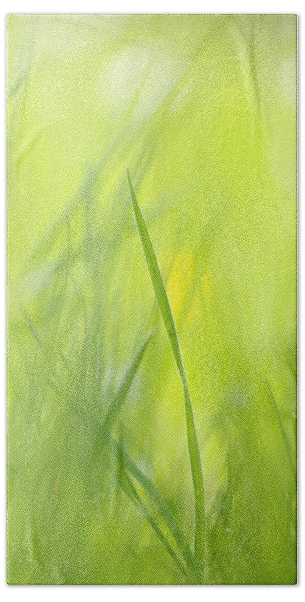 Spring Beach Sheet featuring the photograph Blades of grass - green spring meadow - abstract soft blurred by Matthias Hauser