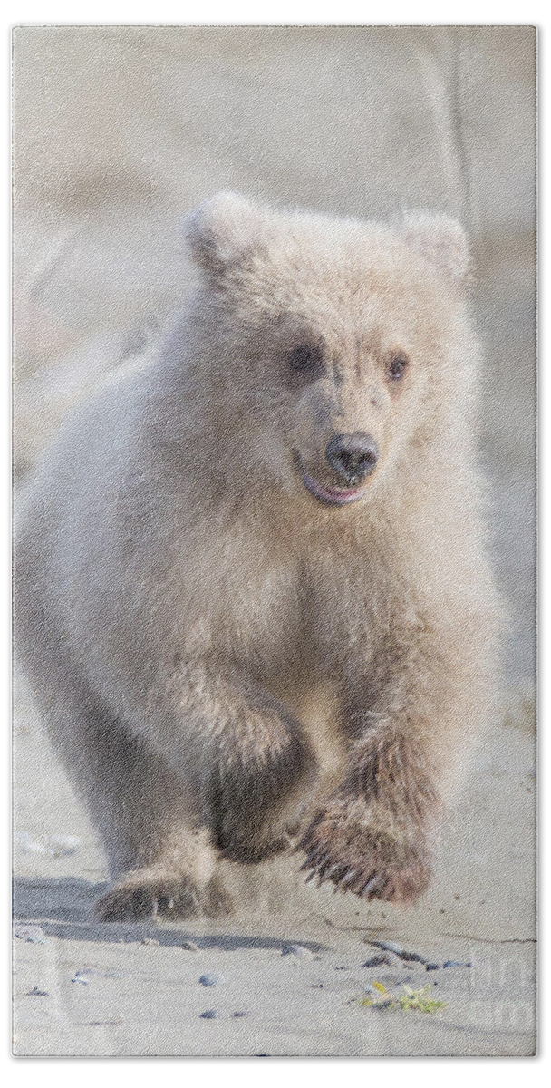 Grizzly Bear Beach Towel featuring the photograph Blondes Have More Fun by Chris Scroggins