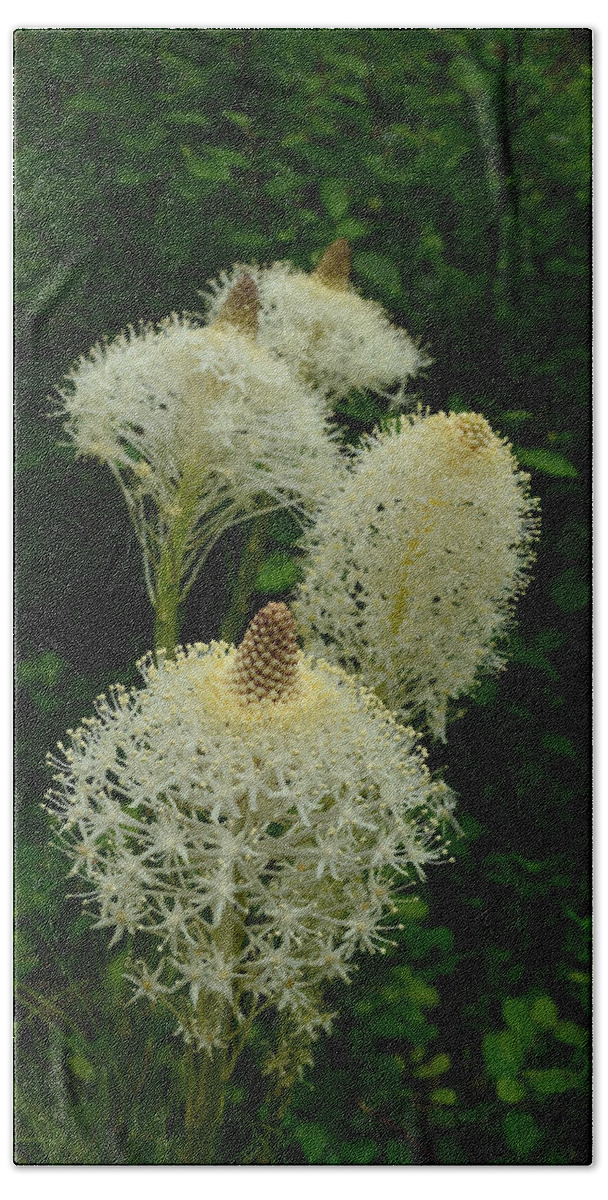 Bear Grass Beach Sheet featuring the photograph Blooming Bear Grass by Whispering Peaks Photography