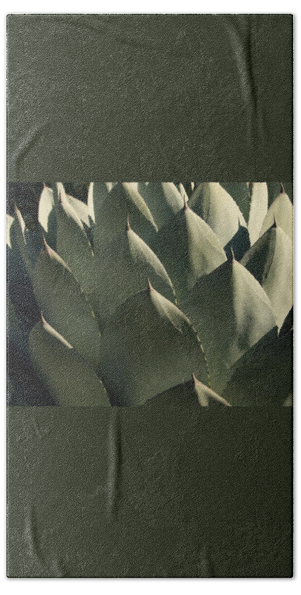 Blue Aloe Beach Sheet featuring the photograph Blue Aloe by Ellen Henneke