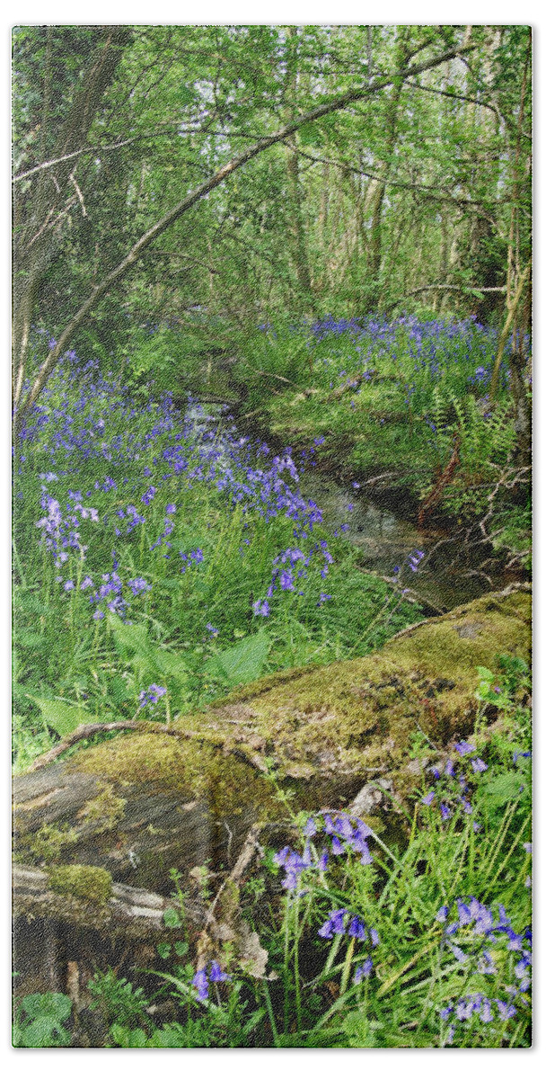 Bluebell Beach Towel featuring the photograph Bluebell Wood by John Topman