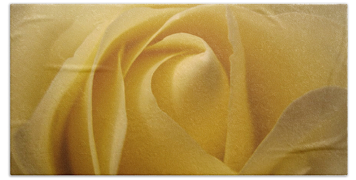 Floral Beach Towel featuring the photograph Blushing Cream Rose by Tara Shalton