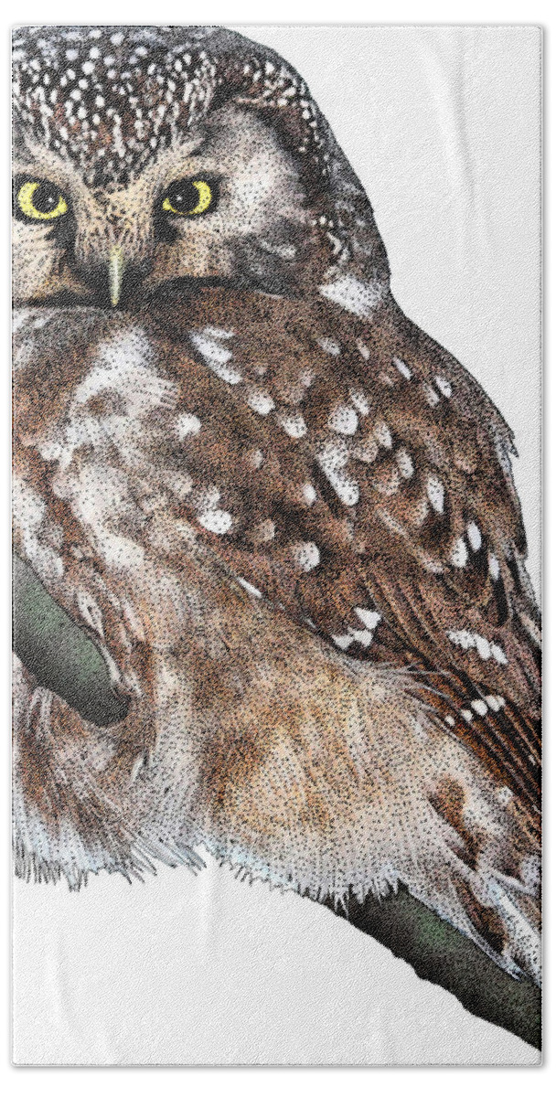 Boreal Owl Beach Towel featuring the photograph Boreal Owl, Aegolius Funereus by Roger Hall