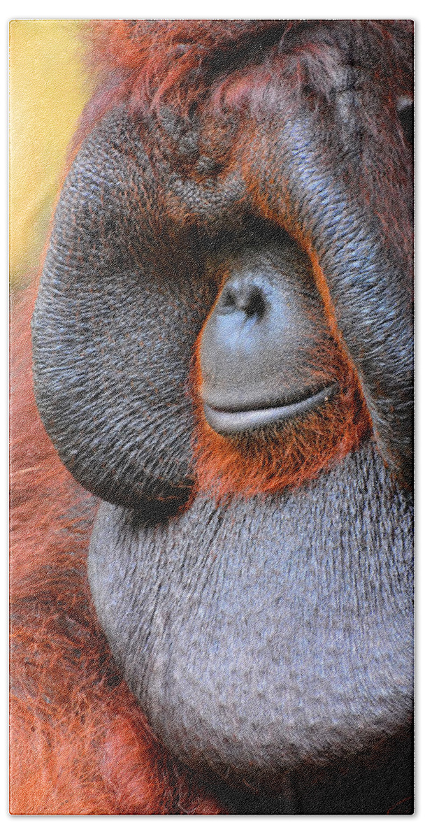 Orangutan Beach Sheet featuring the photograph Bornean Orangutan VI by Lourry Legarde