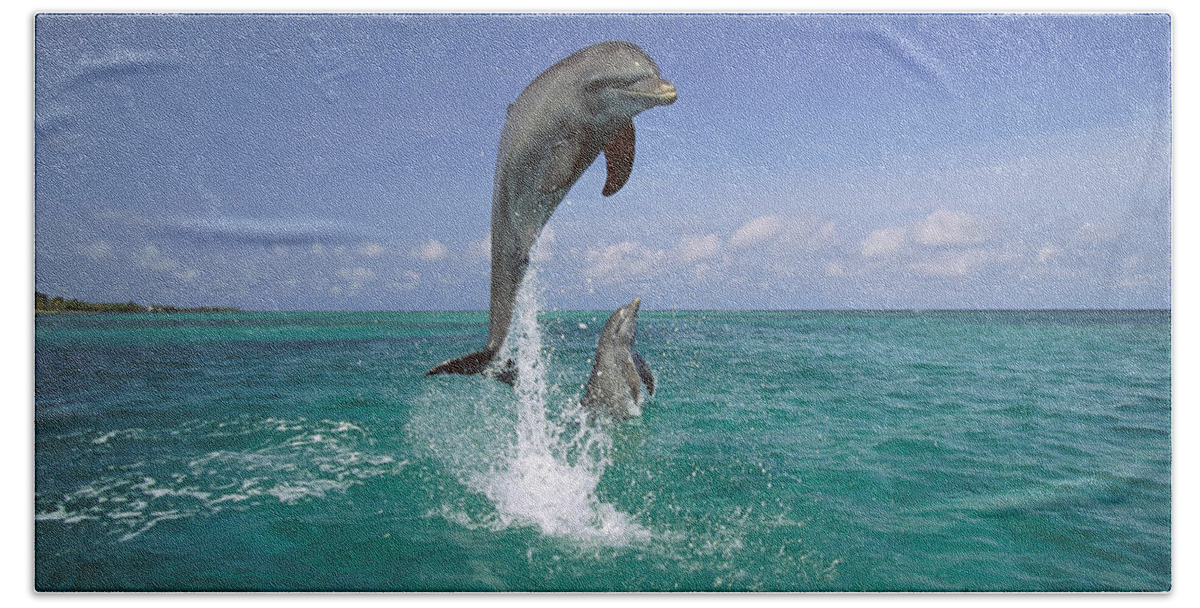 Feb0514 Beach Towel featuring the photograph Bottlenose Dolphin Leaping Caribbean by Konrad Wothe