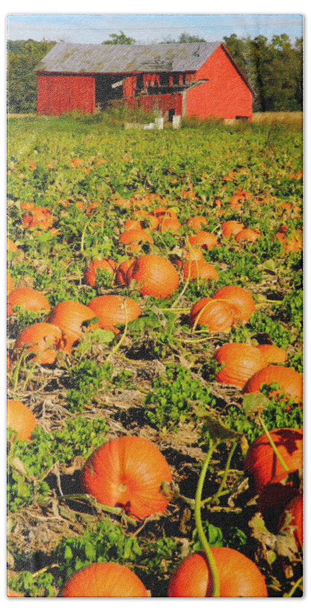 Brown's Farm Beach Sheet featuring the photograph Bountiful Crop by Kathy Barney