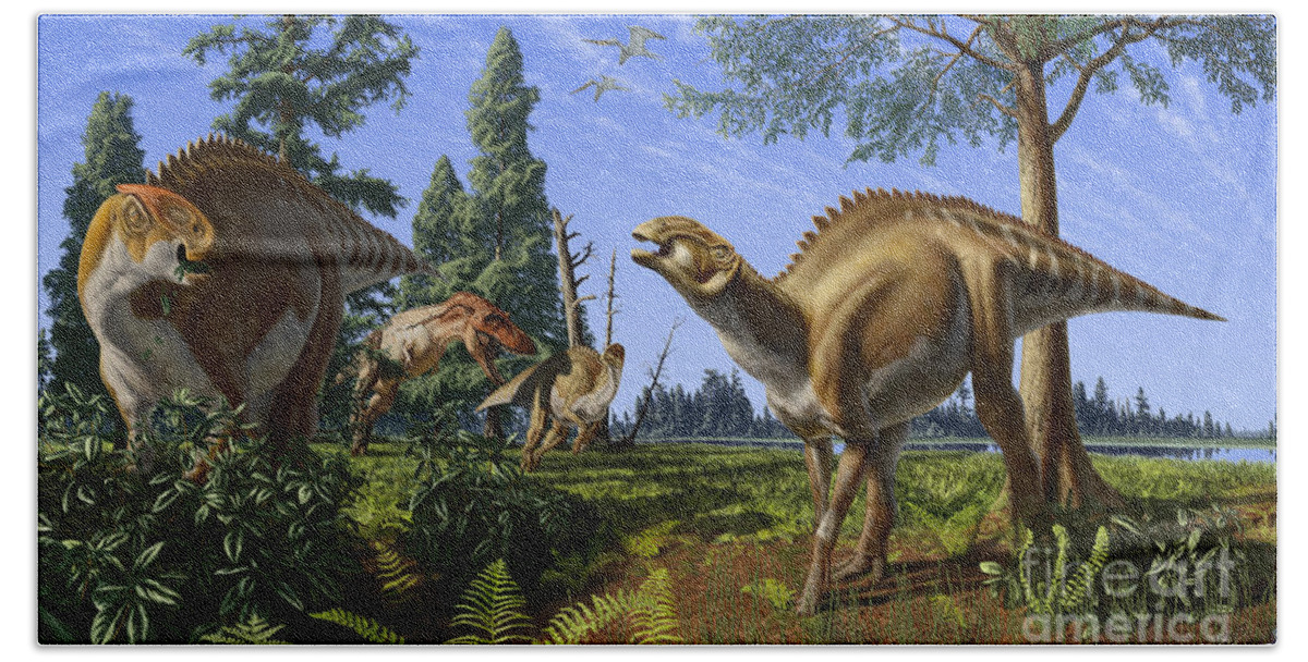 Dinosaur Beach Towel featuring the digital art Brachylophosaurus canadensis by Julius Csotonyi