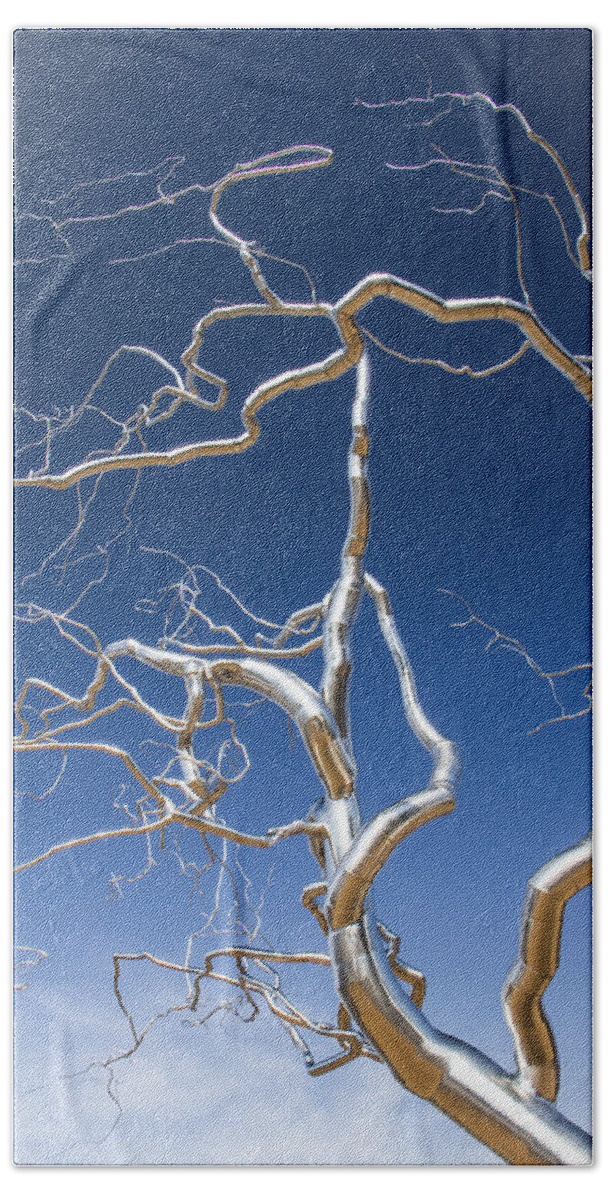 Steven Bateson Beach Towel featuring the photograph Branches of Silver by Steven Bateson