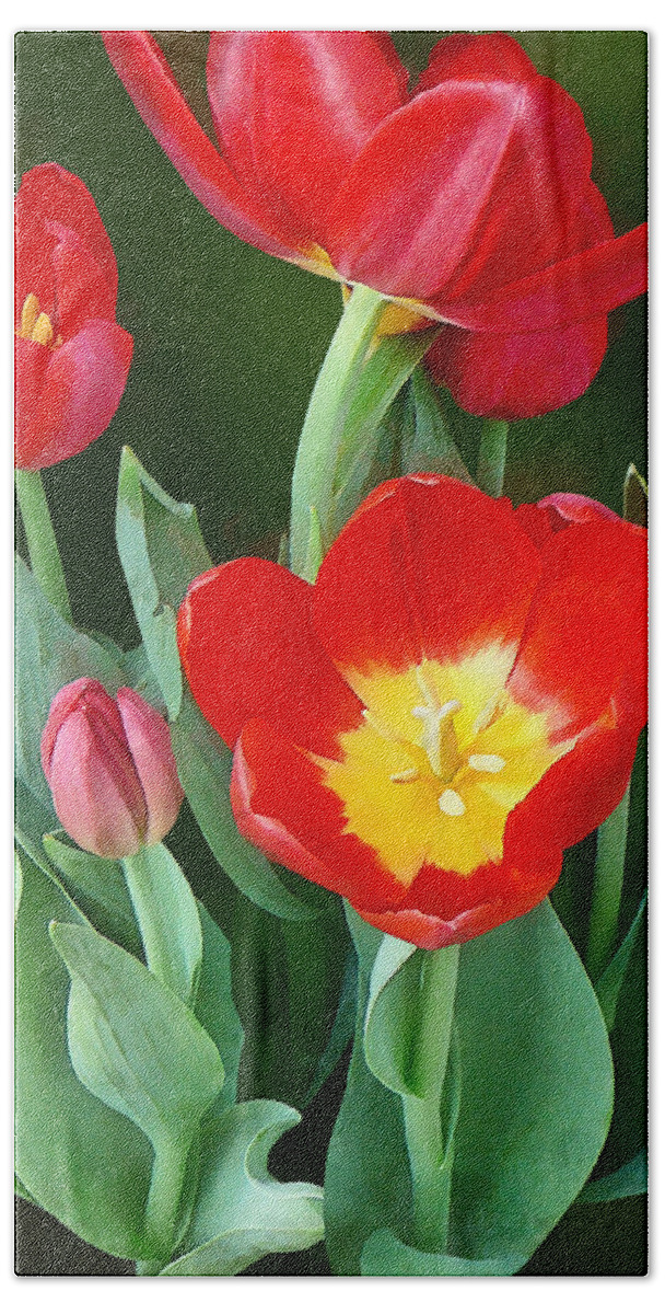 Tulip Beach Towel featuring the photograph Bright Red Tulips by Susan Savad