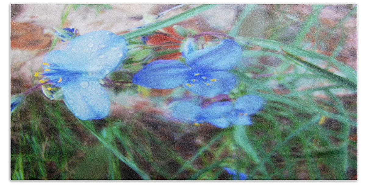 Blue Beach Towel featuring the photograph Brilliant Blue Flowers by Cathy Anderson