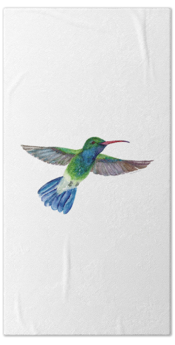 Bird Beach Towel featuring the painting BroadBilled Fan Tail Hummingbird by Amy Kirkpatrick