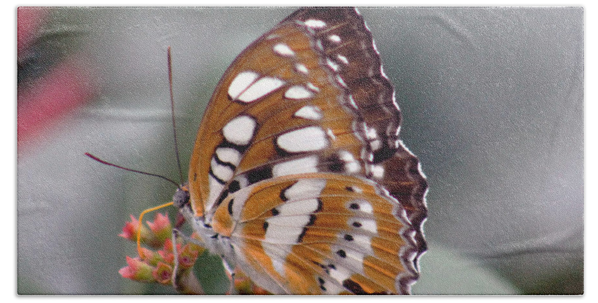 Butterfly Beach Towel featuring the photograph Brown and white brushstrokes by Lily K