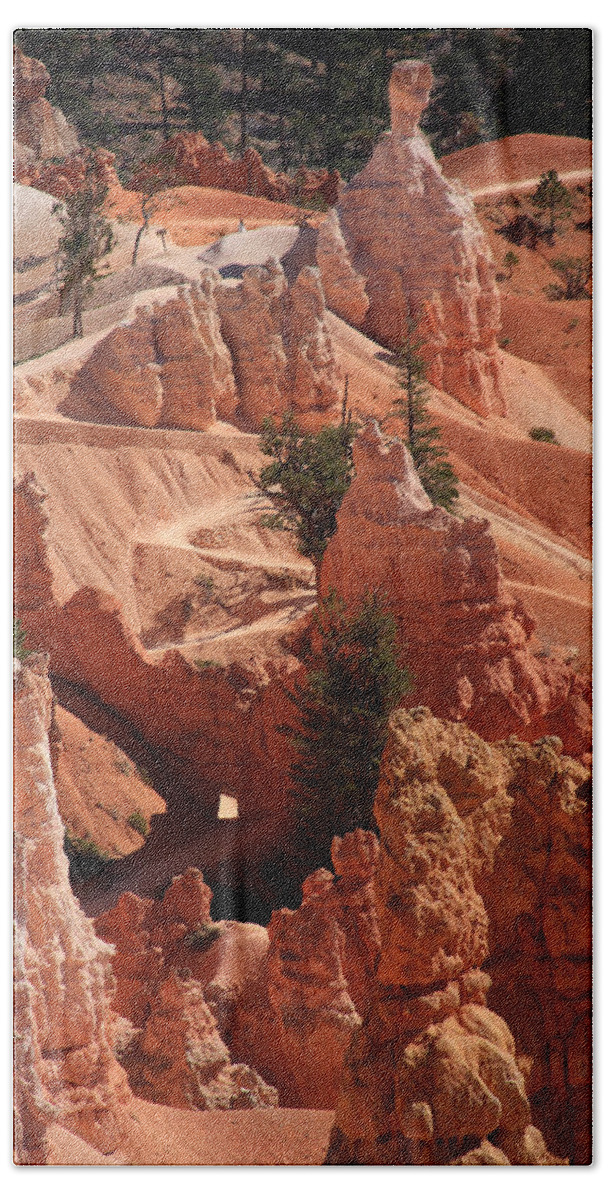Utah Beach Towel featuring the photograph Bryce Canyon Trail - Utah by Aidan Moran