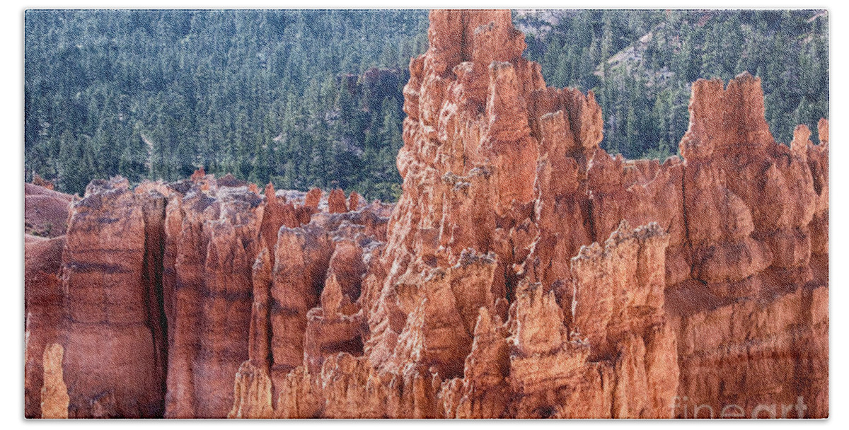 Bryce Canyon Beach Towel featuring the photograph Bryce Canyon Utah Views 524 by James BO Insogna