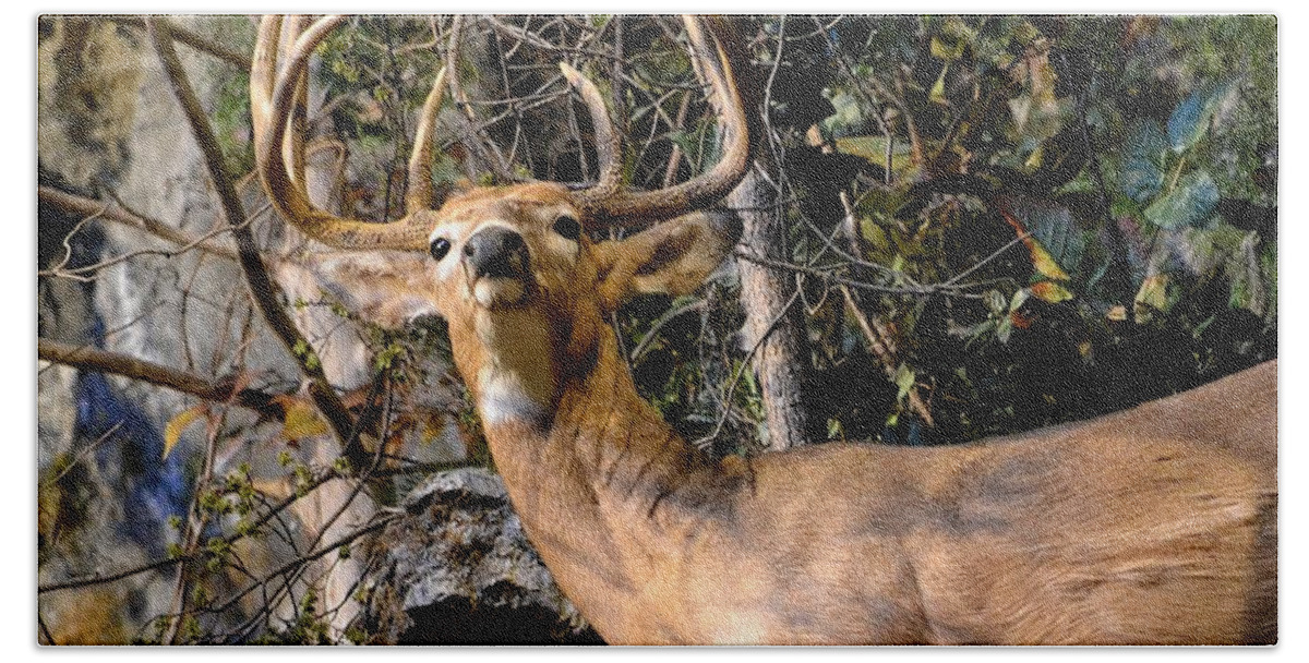 Deer Beach Sheet featuring the photograph Buck On A Ridge by Deena Stoddard