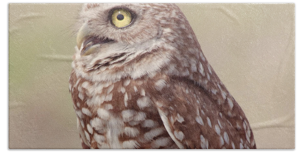 Wildlife Beach Towel featuring the photograph Burrowing Owl by Kim Hojnacki