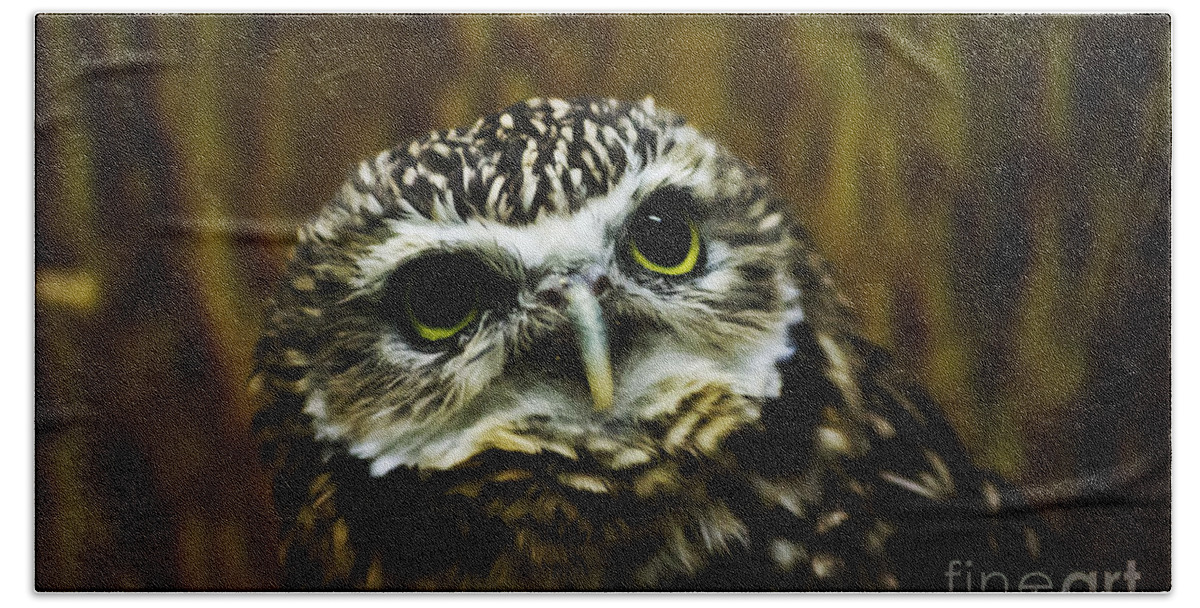 Bird Beach Towel featuring the photograph Burrowing Owl by Ms Judi