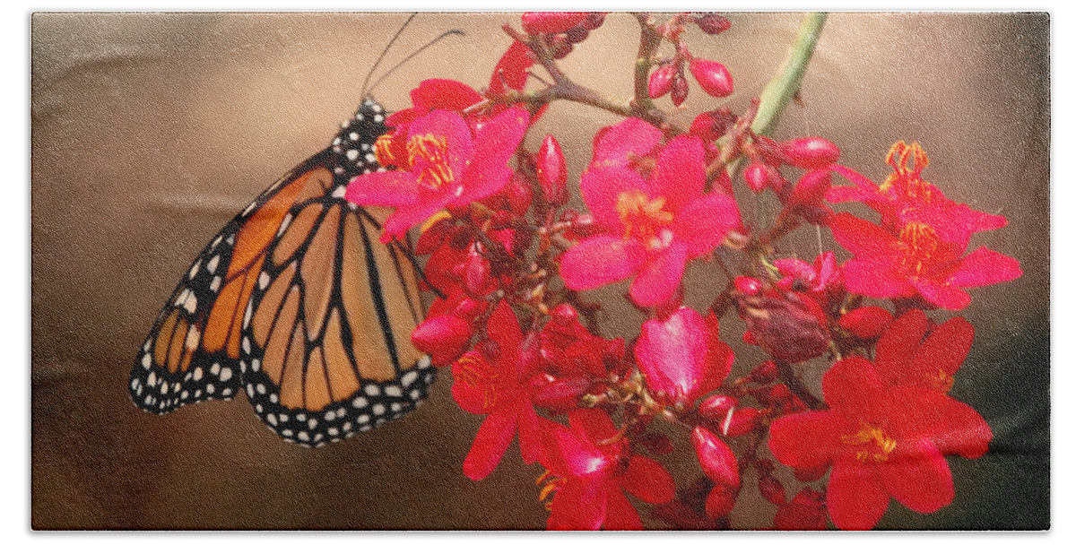 Red Beach Sheet featuring the photograph Butterfly 1 by Leticia Latocki