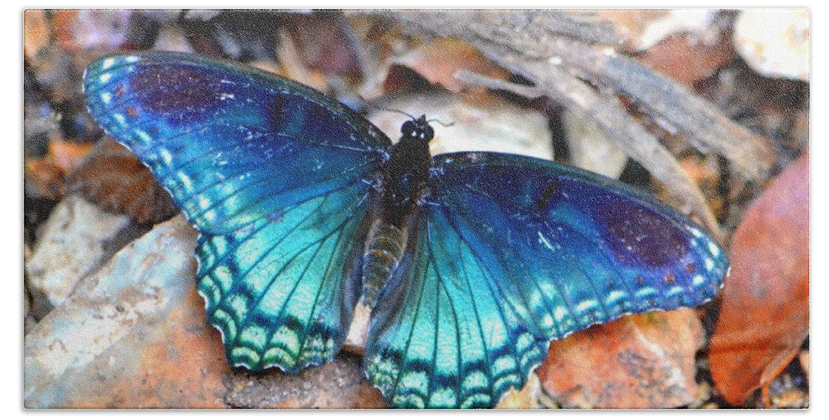 Butterfly Beach Towel featuring the photograph Butterfly Blue by Deena Stoddard