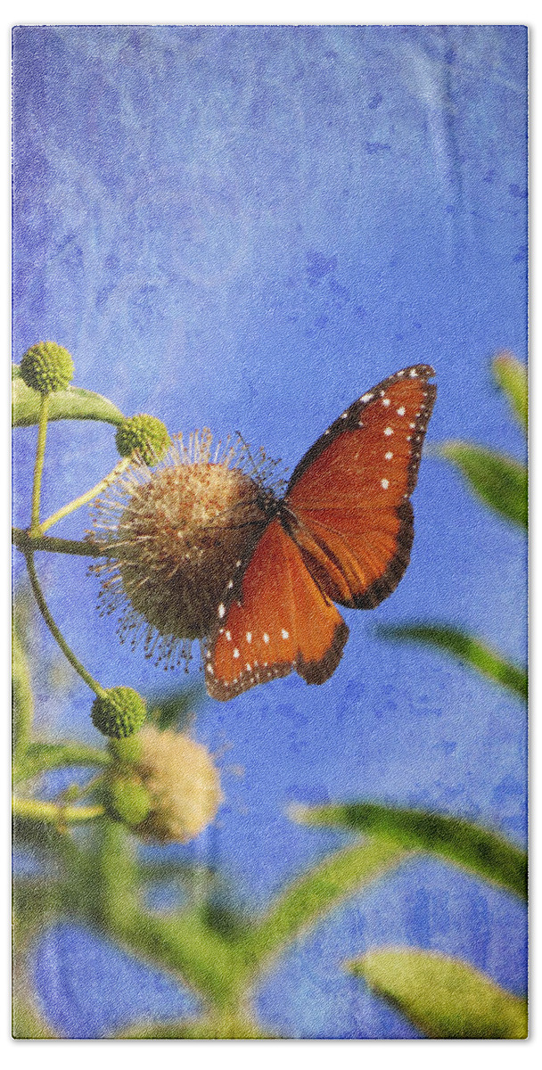 Butterflies Beach Towel featuring the photograph Butterfly - Bow to the Queen by Ella Kaye Dickey