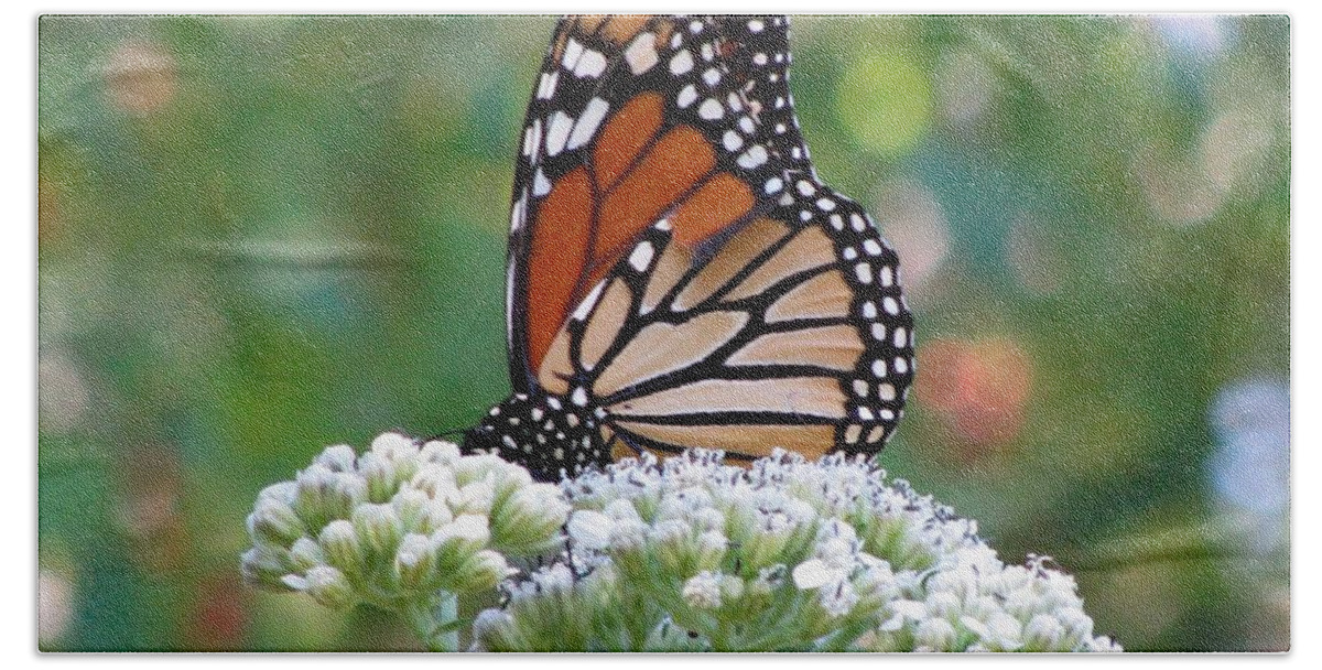 Butterfly Beach Towel featuring the photograph Butterfly Garden - Monarchs 11 by Pamela Critchlow