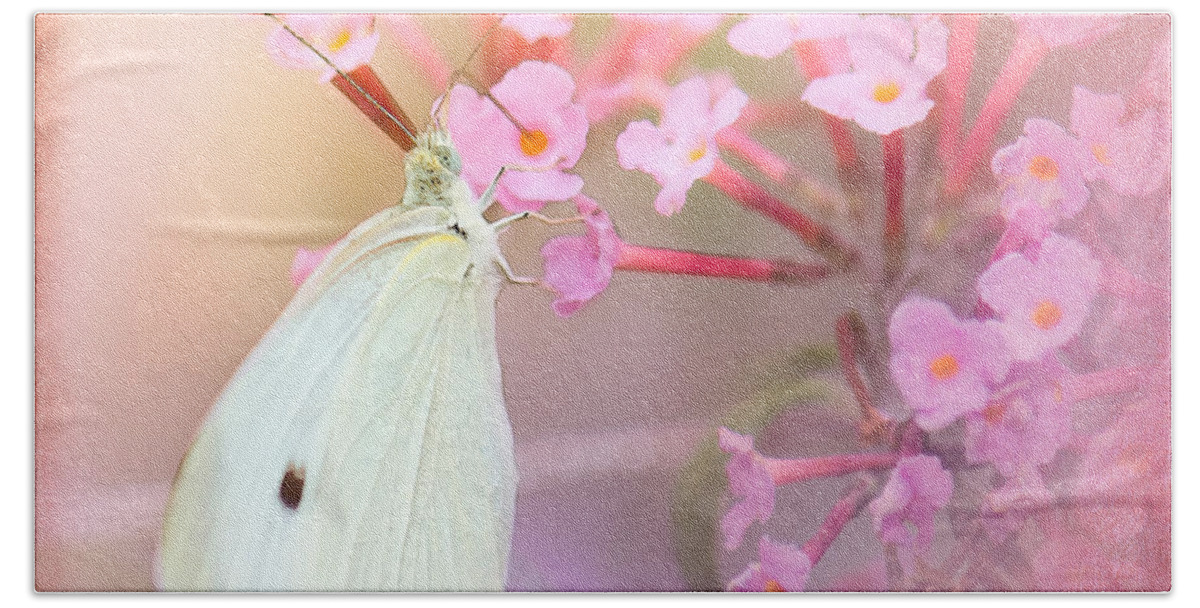 Cabbage White Butterflies Beach Towel featuring the photograph Butterrfly Joy by Betty LaRue