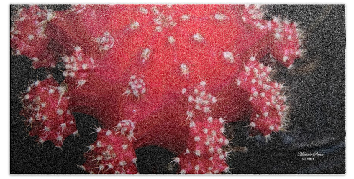 Red Beach Towel featuring the photograph Cactus Beauty by Michele Penn