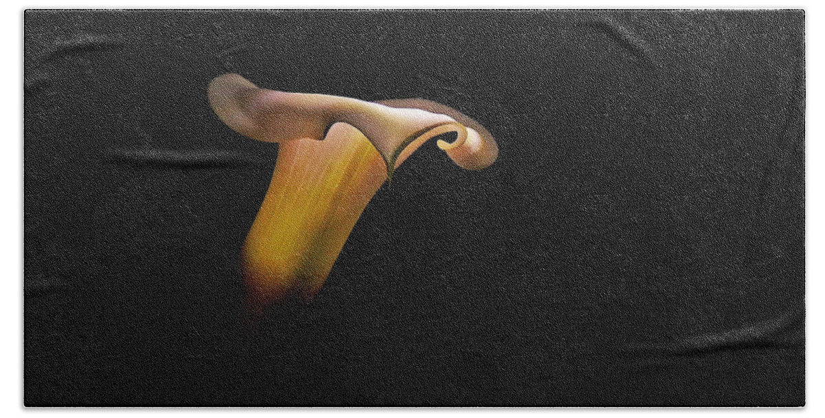 Calla Lily Beach Sheet featuring the photograph Calla Lily by Stuart Harrison