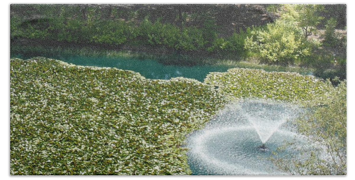 Fountain Beach Sheet featuring the photograph Calistoga Summer by Mini Arora