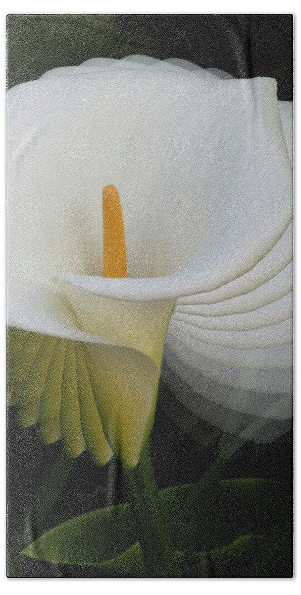 Calla Lily Beach Towel featuring the photograph Calla Lilly Sprial by Alison Stein
