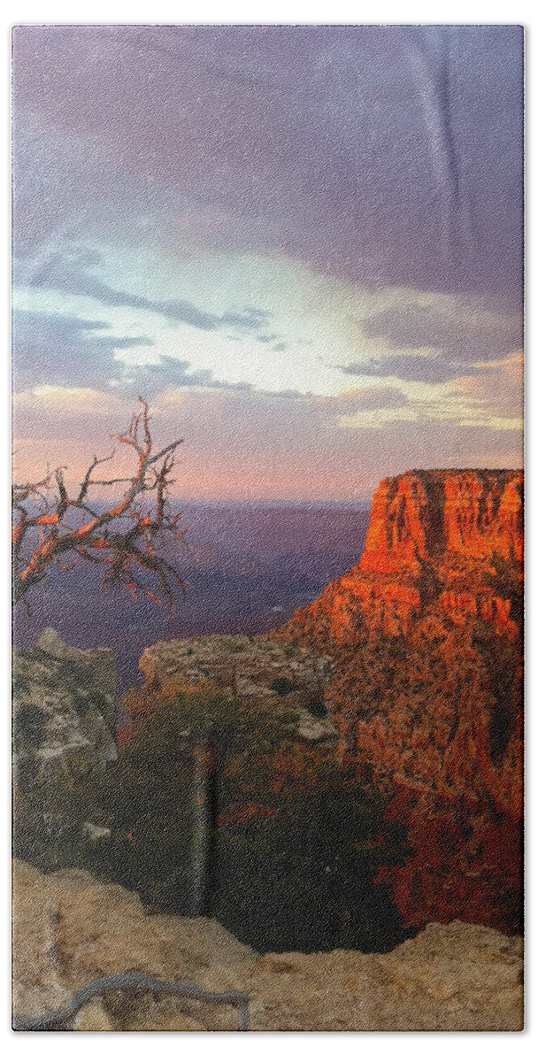 America Beach Towel featuring the photograph Canyon Rim Tree by Heidi Smith