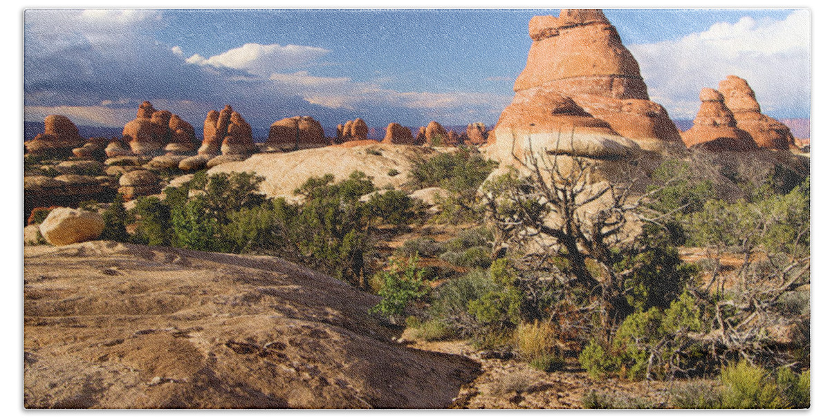 Canyonlands Beach Towel featuring the photograph Canyonlands National Park by Adam Jewell