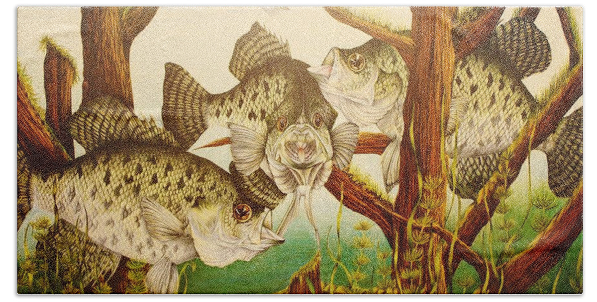 Fishing Beach Sheet featuring the drawing Captivating Crappies by Bruce Bley