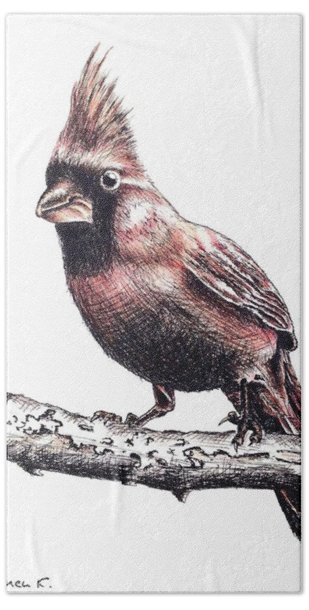 Ink Sketch Beach Towel featuring the drawing Cardinal male by Katharina Bruenen