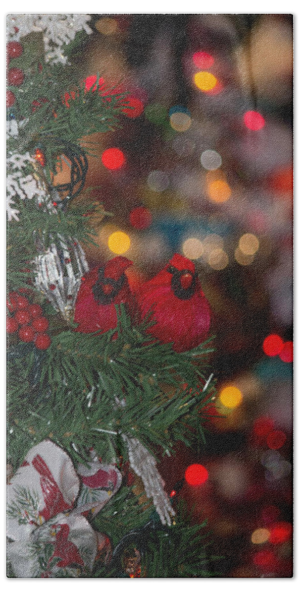 Birds Beach Towel featuring the photograph Cardinals at Christmas by Patricia Babbitt