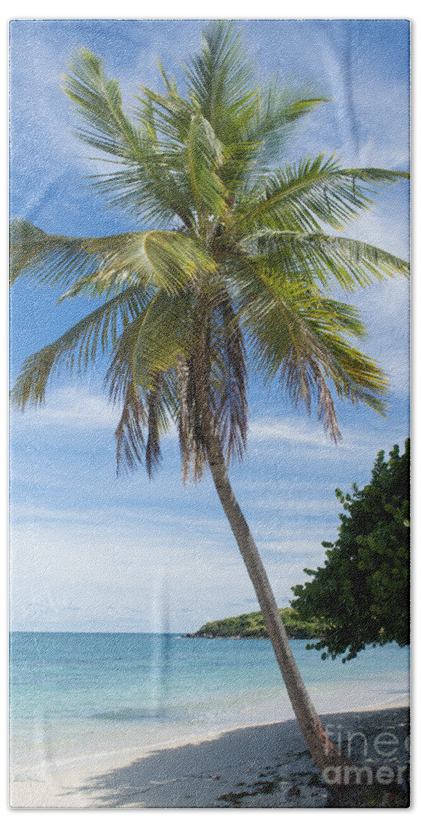 Tropical Island Beach Towel featuring the photograph Caribbean Blues by Betty LaRue