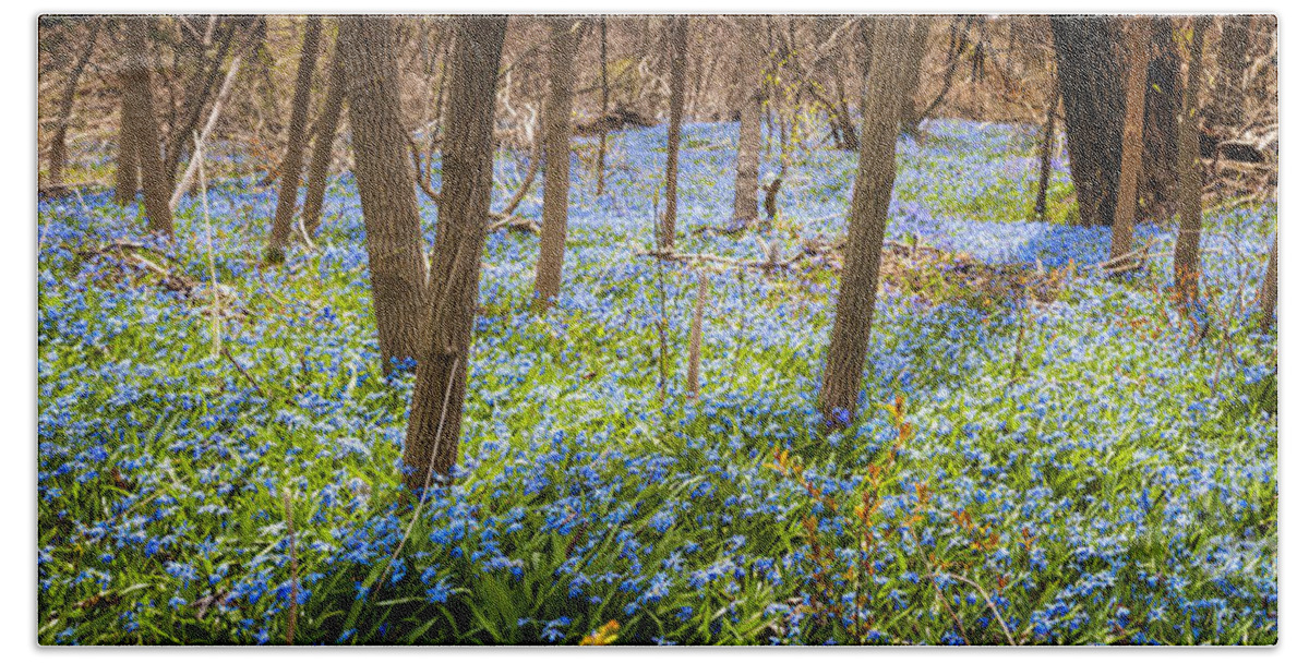 Flowers Beach Towel featuring the photograph Carpet of blue flowers in spring forest 3 by Elena Elisseeva