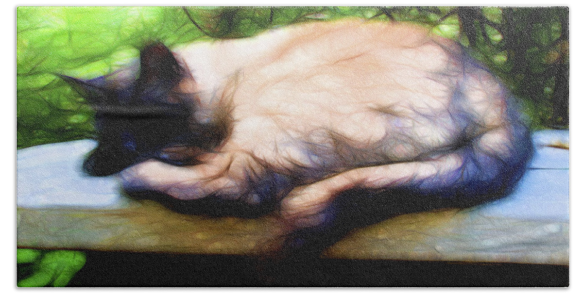 Nature Beach Towel featuring the digital art Cat Nap 2 by William Horden