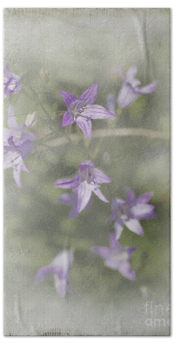 Flower Beach Towel featuring the photograph Dainty Purple Flowers by Elaine Teague