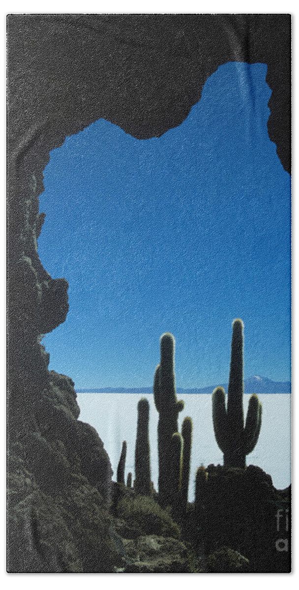 Bolivia Beach Towel featuring the photograph Cave and cacti Incahuasi Island by James Brunker