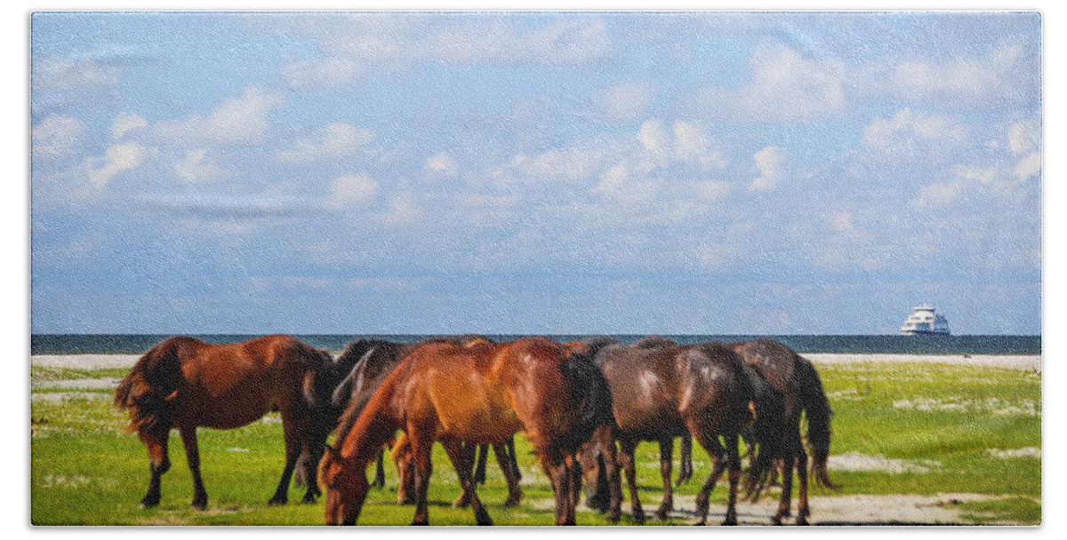 Wild Beach Sheet featuring the photograph Cedar Island Wild Mustangs 28 by Paula OMalley