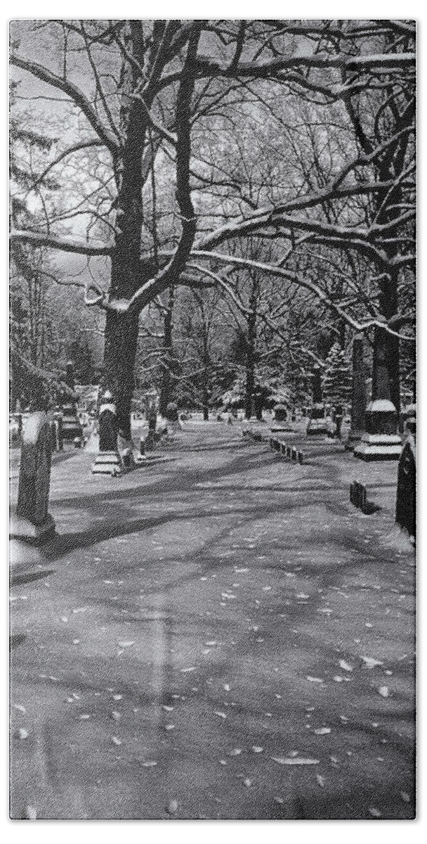 Cemetery Beach Towel featuring the photograph Cemetery in Winter by Joshua House