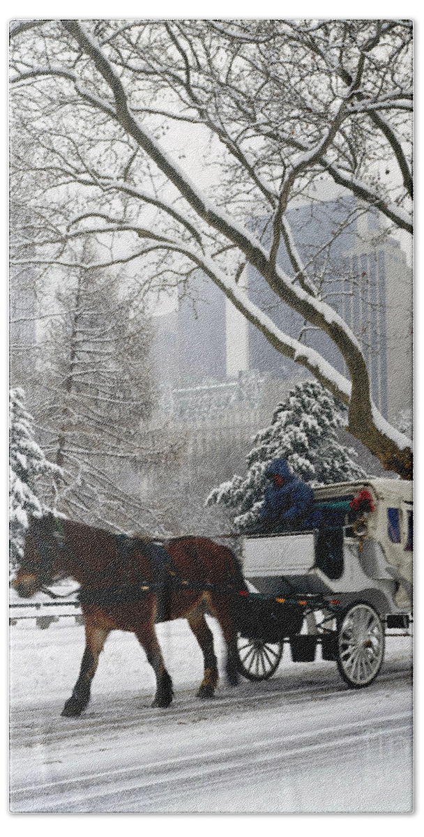 New York Beach Towel featuring the photograph Central Park In Snowfall by Rafael Macia