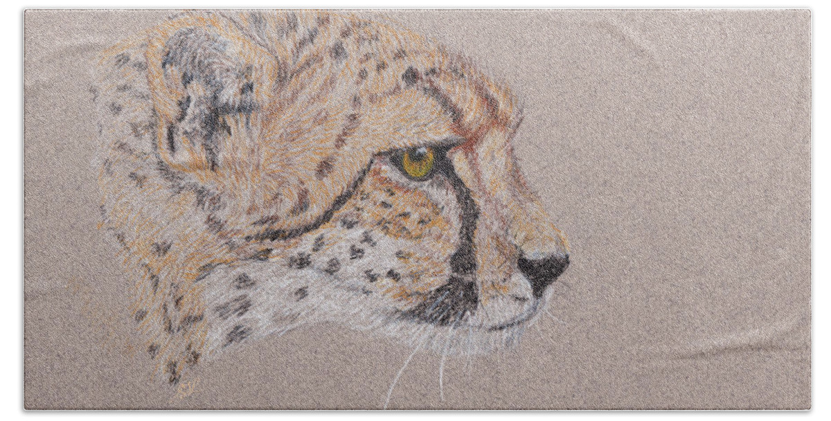 Cheetah Beach Towel featuring the drawing Cheetah by Stephanie Grant