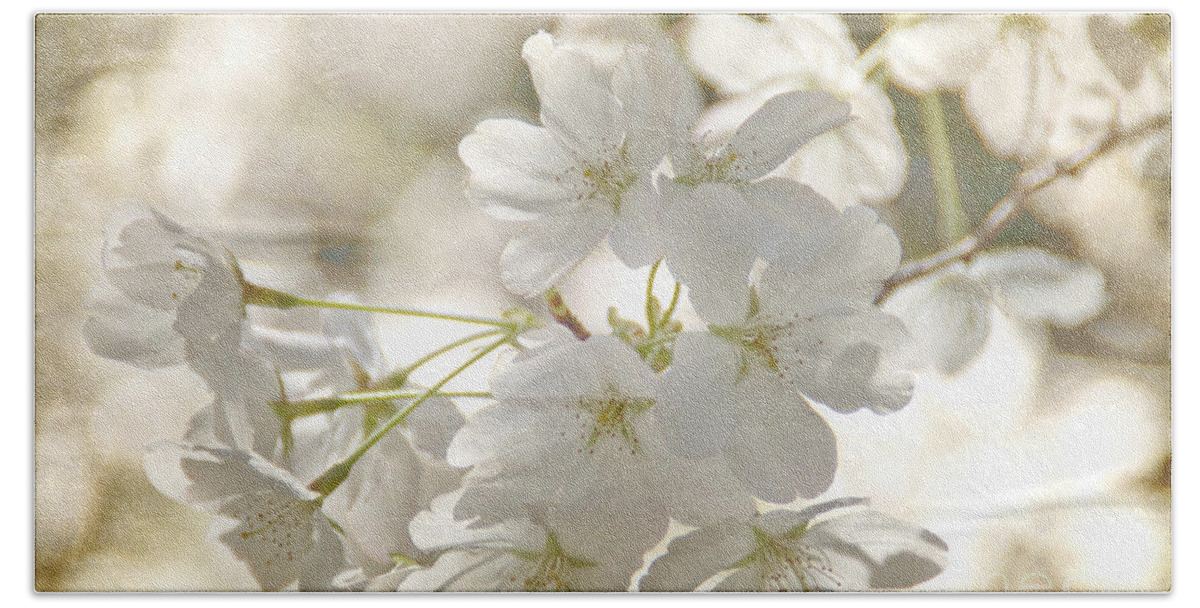 Flowers Beach Sheet featuring the photograph Cherry blossoms by Peggy Hughes