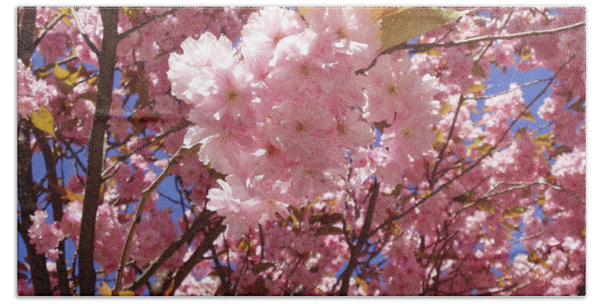 Spring In The City Beach Sheet featuring the photograph Cherry trees blossom by Rosita Larsson