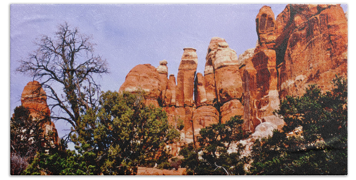 Canyonlands National Park Beach Sheet featuring the photograph Chesler Park Pinnacles by Ed Riche